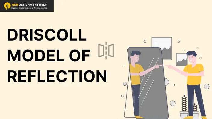 Driscoll Model of Reflection - A Complete Guide